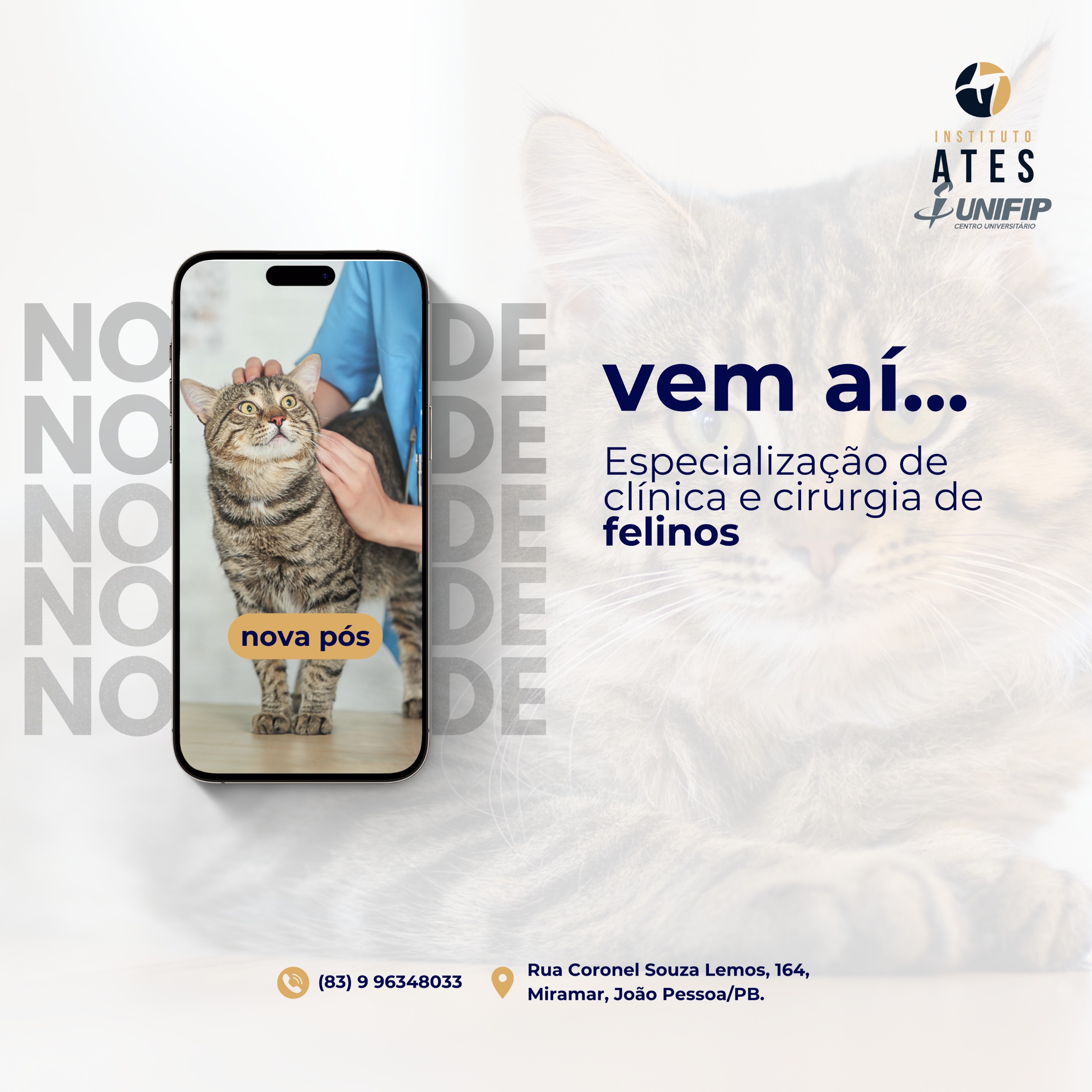 Instituto Ates - ESPECIALIZAÇÃO EM CLÍNICA E CIRURGIA DE FELINOS